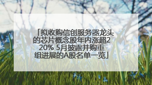 拟收购信创服务器龙头的芯片概念股年内涨超220% 5月披露并购重组进展的A股名单一览
