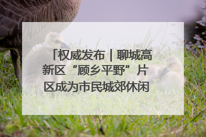 权威发布｜聊城高新区“顾乡平野”片区成为市民城郊休闲全新目的地