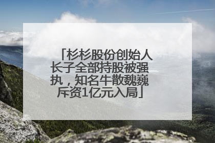 杉杉股份创始人长子全部持股被强执，知名牛散魏巍斥资1亿元入局
