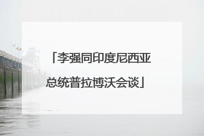 李强同印度尼西亚总统普拉博沃会谈