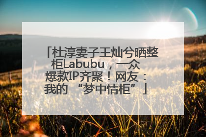 杜淳妻子王灿兮晒整柜Labubu，一众爆款IP齐聚！网友：我的 “梦中情柜”