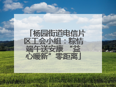 杨园街道电信片区工会小组：粽情端午送安康 “益心暖新”零距离