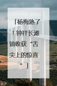 杨梅熟了！钟祥长滩镇收获“舌尖上的惊喜”