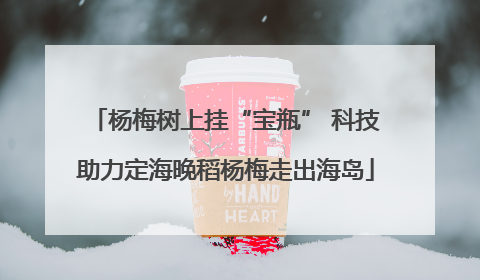 杨梅树上挂“宝瓶” 科技助力定海晚稻杨梅走出海岛