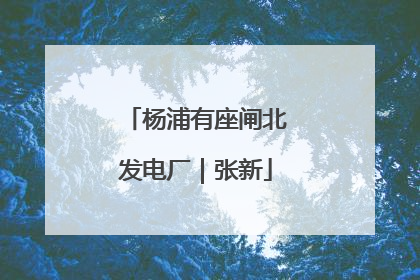 杨浦有座闸北发电厂｜张新