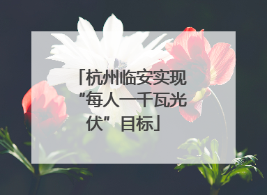 杭州临安实现“每人一千瓦光伏”目标