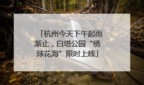 杭州今天下午起雨渐止，白塔公园“绣球花海”限时上线