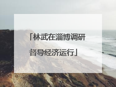 林武在淄博调研督导经济运行
