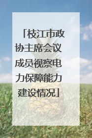 枝江市政协主席会议成员视察电力保障能力建设情况