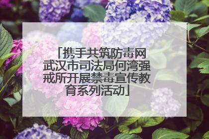 携手共筑防毒网 武汉市司法局何湾强戒所开展禁毒宣传教育系列活动