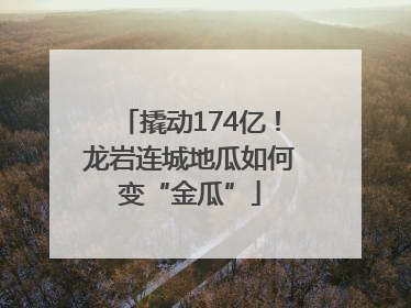 撬动174亿！龙岩连城地瓜如何变“金瓜”