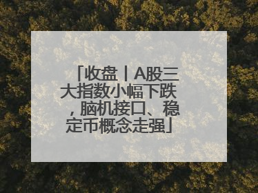收盘丨A股三大指数小幅下跌，脑机接口、稳定币概念走强