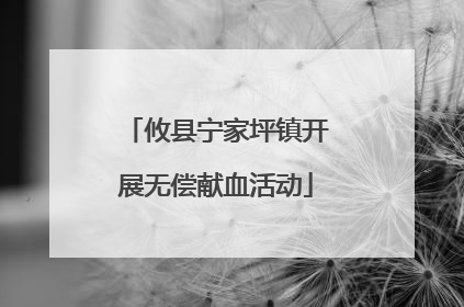 攸县宁家坪镇开展无偿献血活动