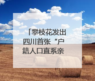 攀枝花发出四川首张“户籍人口直系亲属关系谱”