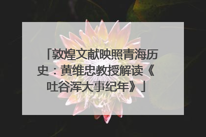 敦煌文献映照青海历史：黄维忠教授解读《吐谷浑大事纪年》