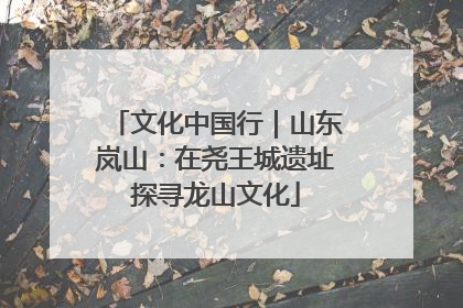 文化中国行｜山东岚山：在尧王城遗址探寻龙山文化