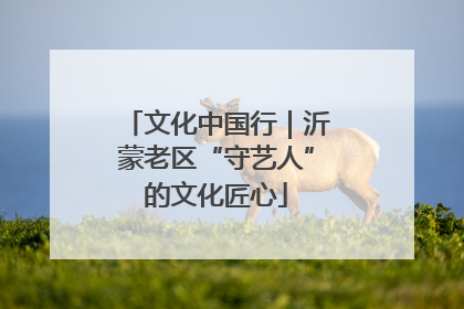 文化中国行｜沂蒙老区“守艺人”的文化匠心