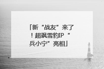 新“战友”来了！超飒雪豹IP“兵小宁”亮相