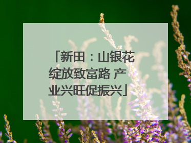 新田：山银花绽放致富路 产业兴旺促振兴
