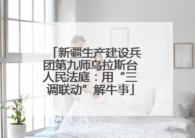 新疆生产建设兵团第九师乌拉斯台人民法庭：用“三调联动”解牛事