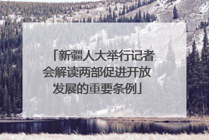新疆人大举行记者会解读两部促进开放发展的重要条例