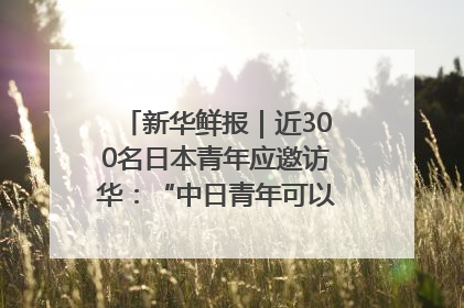 新华鲜报｜近300名日本青年应邀访华：“中日青年可以创造更好的未来”