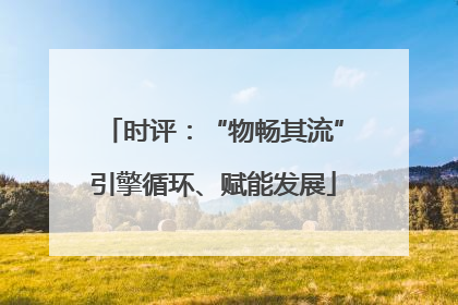 时评：“物畅其流”引擎循环、赋能发展