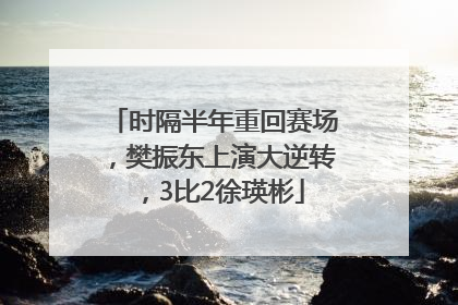 时隔半年重回赛场，樊振东上演大逆转，3比2徐瑛彬