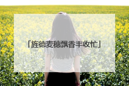 旌德麦穗飘香丰收忙