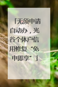 无须申请自动办，光谷个体户信用修复“免申即享”