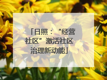 日照：“经营社区”激活社区治理新动能