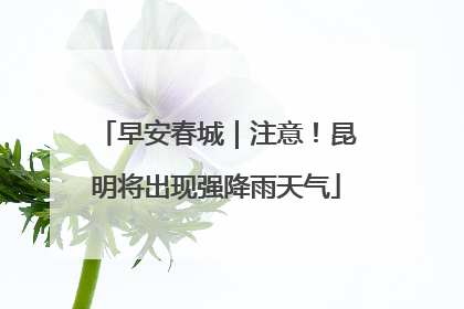 早安春城｜注意！昆明将出现强降雨天气