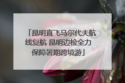 昆明直飞马尔代夫航线复航 昆明边检全力保障暑期跨境游