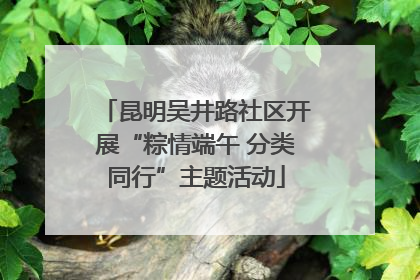昆明吴井路社区开展“粽情端午 分类同行”主题活动