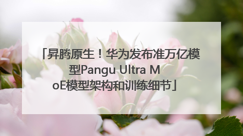 昇腾原生！华为发布准万亿模型Pangu Ultra MoE模型架构和训练细节