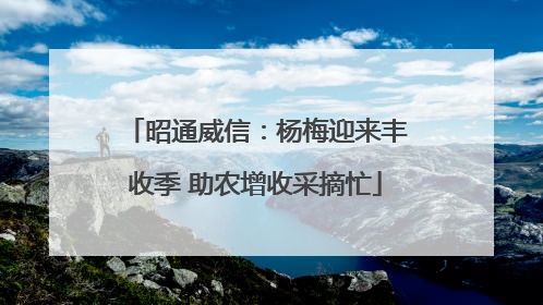 昭通威信：杨梅迎来丰收季 助农增收采摘忙