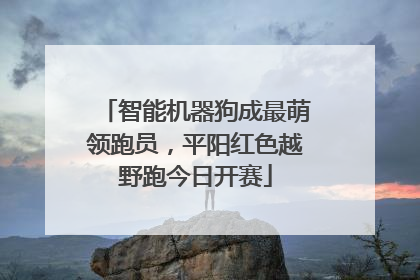智能机器狗成最萌领跑员，平阳红色越野跑今日开赛