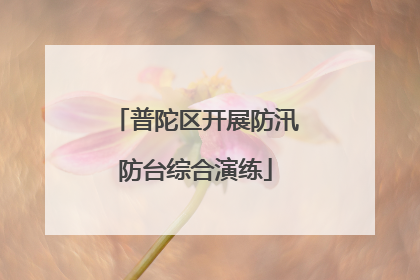 普陀区开展防汛防台综合演练
