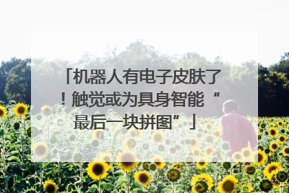 机器人有电子皮肤了！触觉或为具身智能“最后一块拼图”
