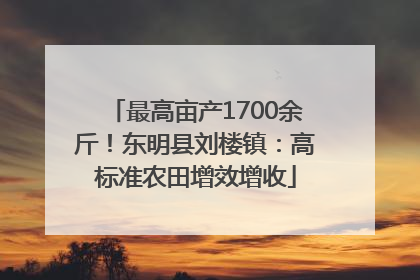 最高亩产1700余斤！东明县刘楼镇：高标准农田增效增收