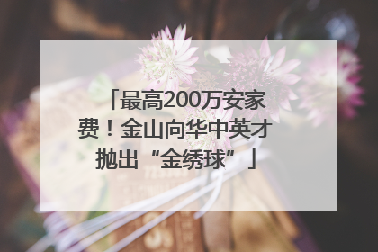 最高200万安家费！金山向华中英才抛出“金绣球”