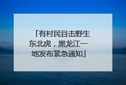 有村民目击野生东北虎，黑龙江一地发布紧急通知