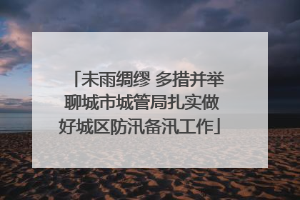 未雨绸缪 多措并举 聊城市城管局扎实做好城区防汛备汛工作