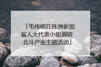 毛伟明在株洲参加省人大代表小组调研北斗产业主题活动