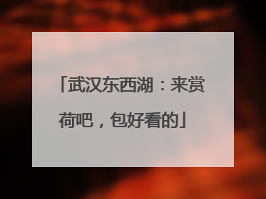 武汉东西湖：来赏荷吧，包好看的
