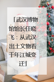 武汉博物馆馆长任晓飞：从武汉出土文物看千年江城变迁