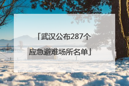 武汉公布287个应急避难场所名单