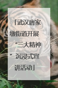 武汉唐家墩街道开展“三大精神”沉浸式宣讲活动