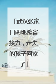 武汉张家口两地跨省接力，走失的孩子回家了