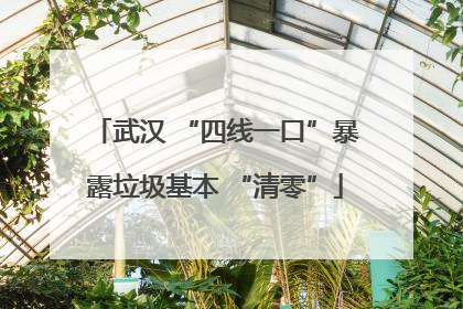 武汉 “四线一口”暴露垃圾基本 “清零”